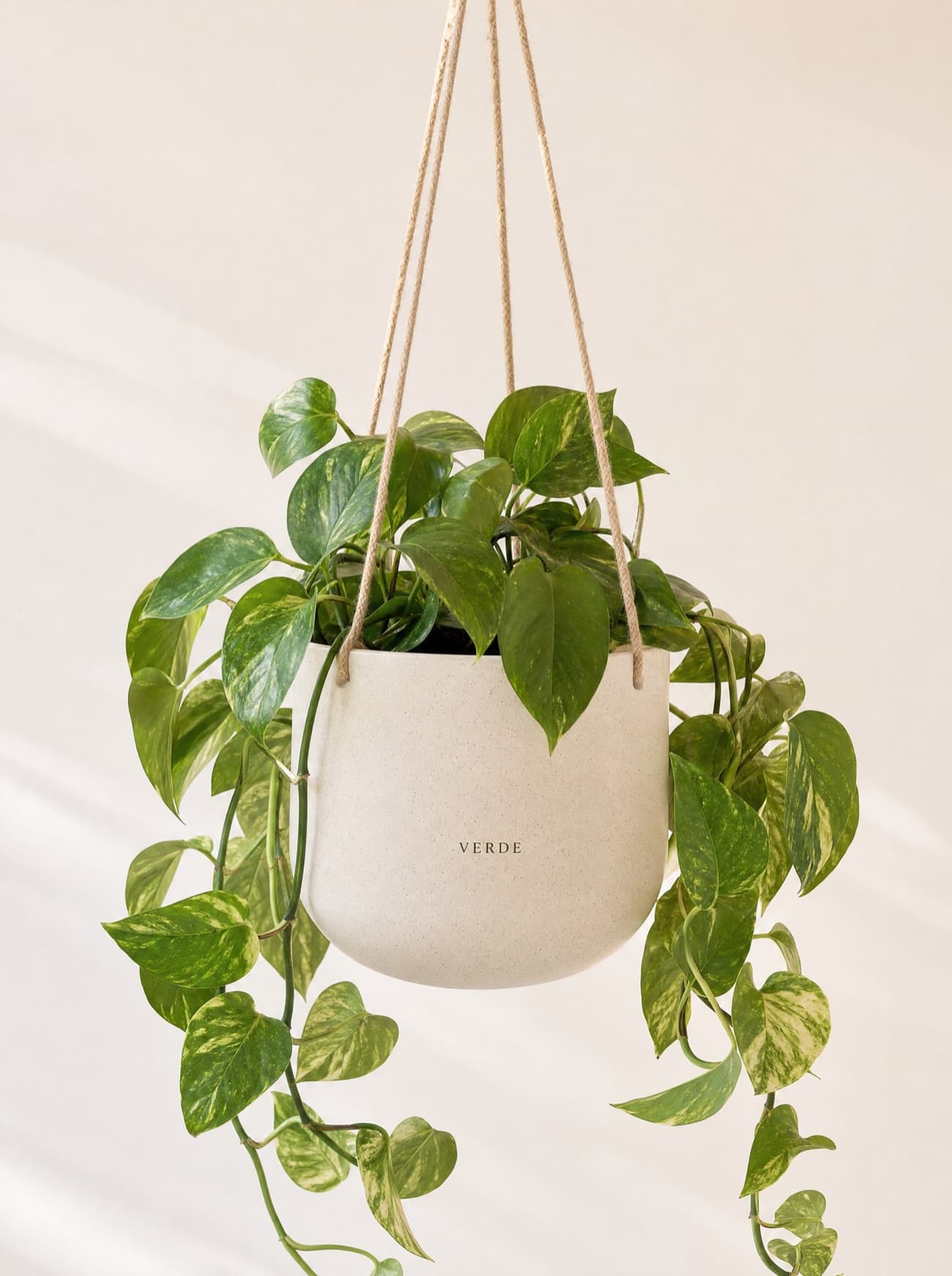 Verde gallery 3